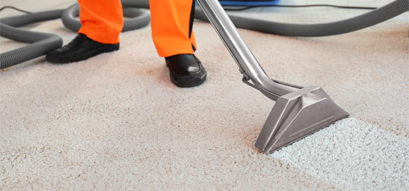 This image shows a vacuum to clean a carpet.
