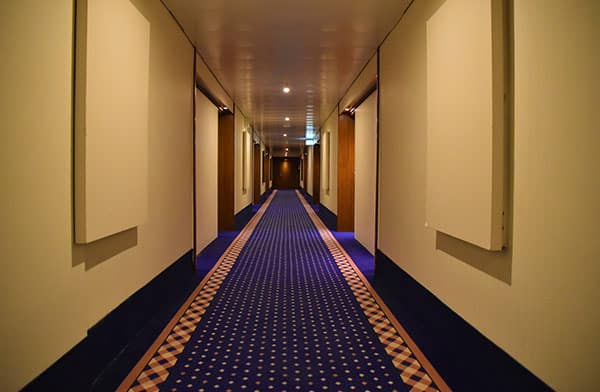 This image shows a hotel with a carpet.
