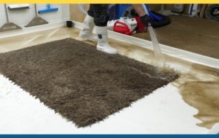 This image shows a very dirty carpet being cleaned.
